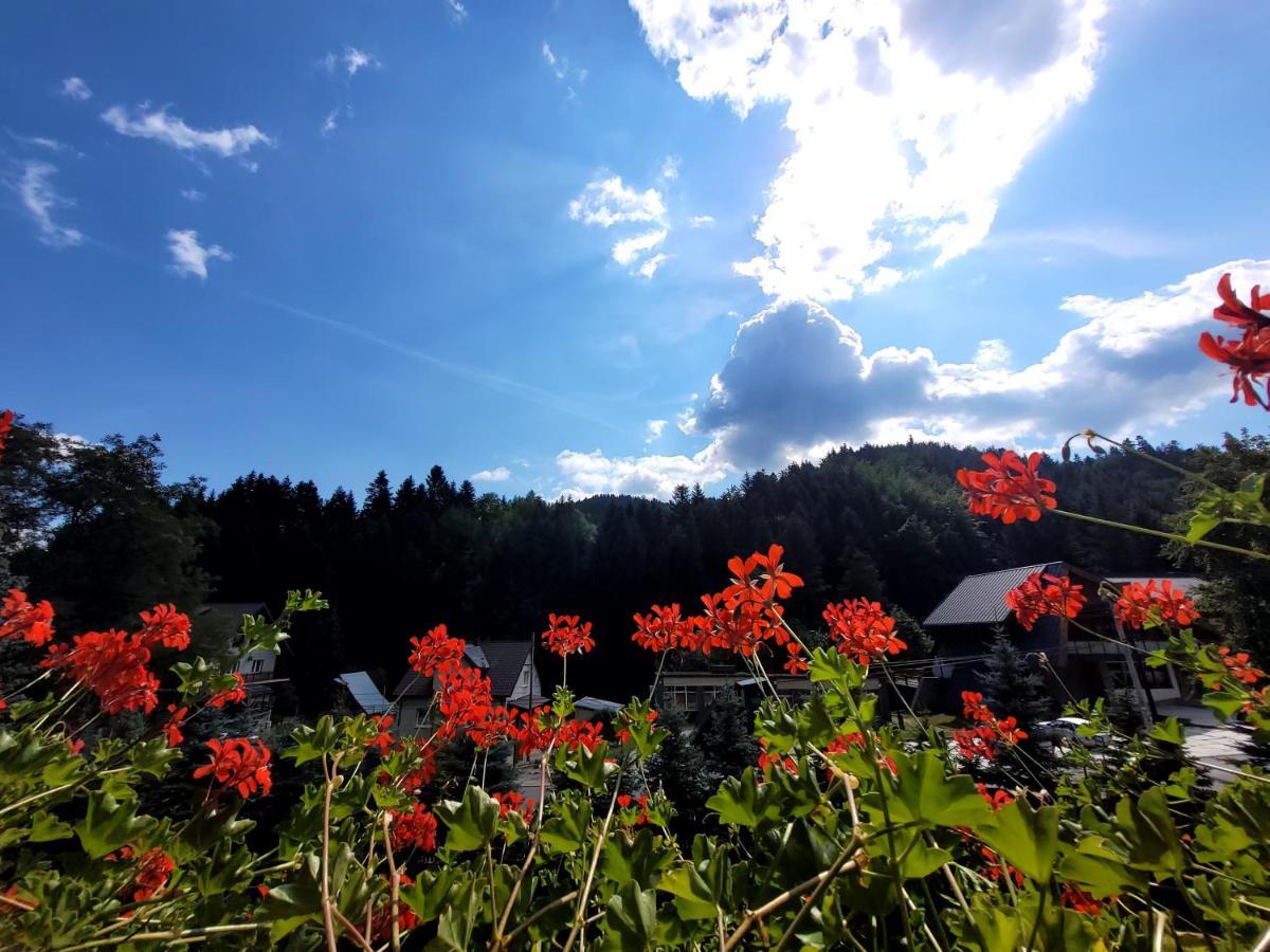 Rezydencja Lesny Dwor Piwniczna-Zdroj Exteriör bild