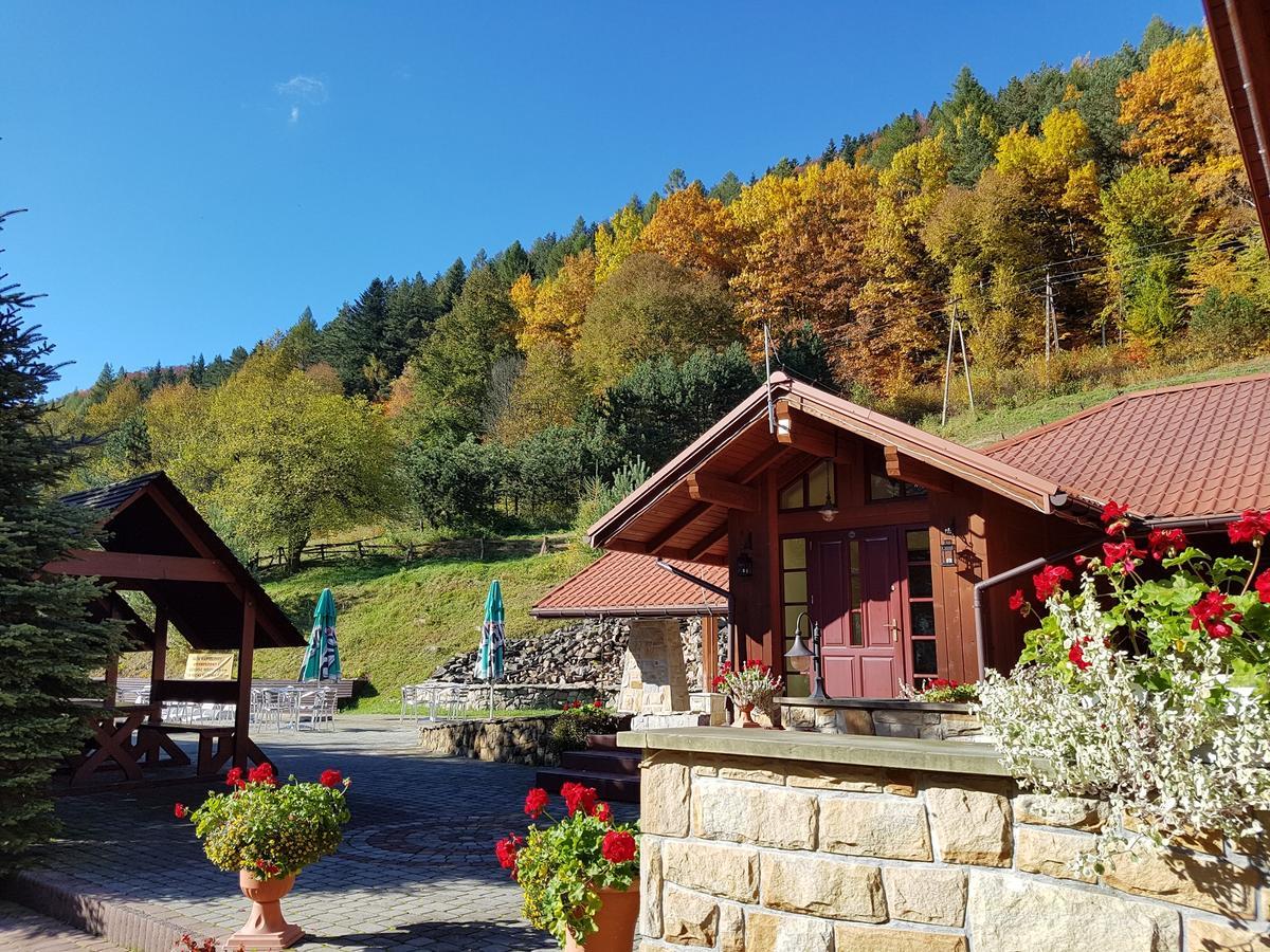 Rezydencja Lesny Dwor Piwniczna-Zdroj Exteriör bild