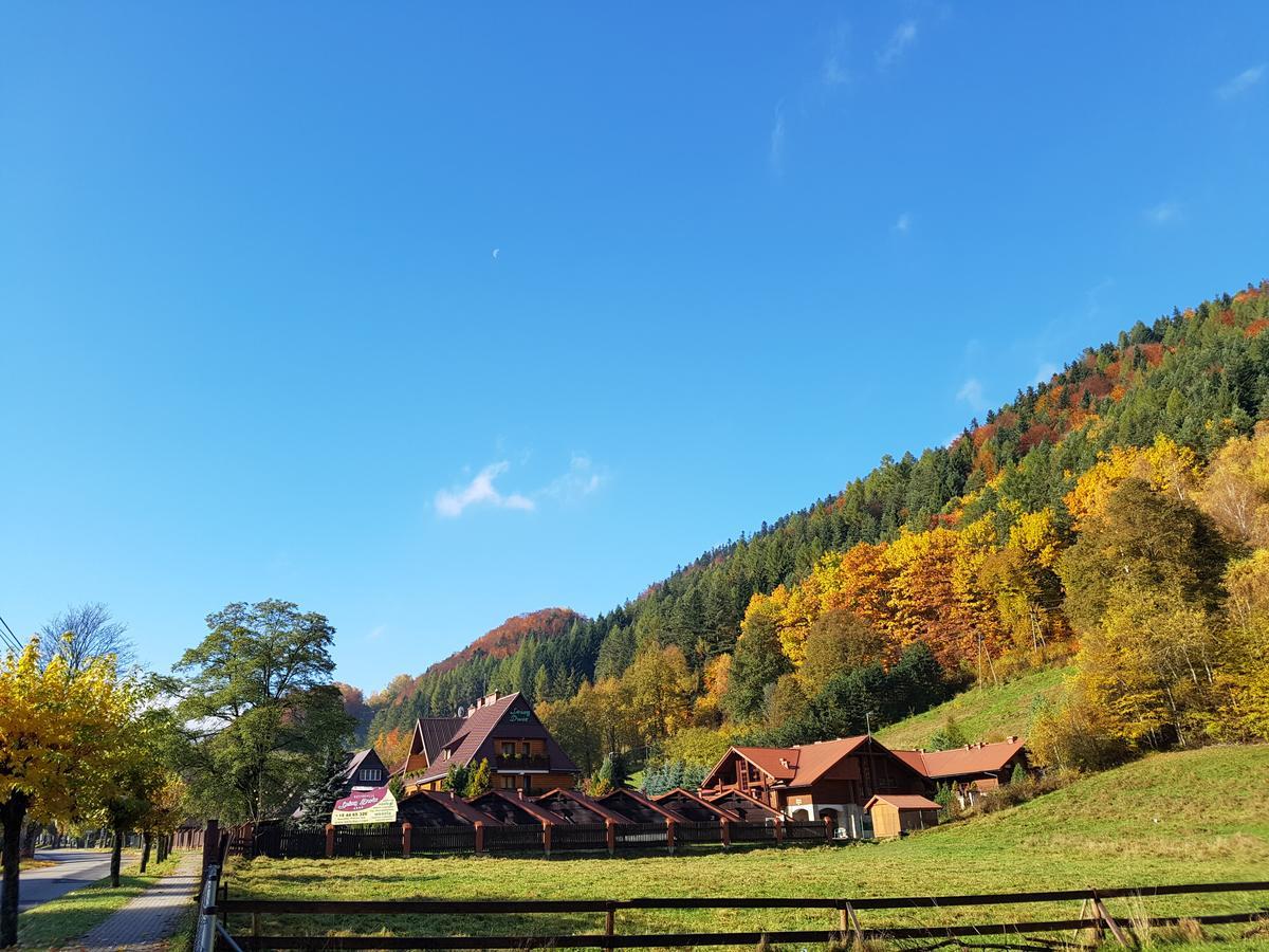 Rezydencja Lesny Dwor Piwniczna-Zdroj Exteriör bild