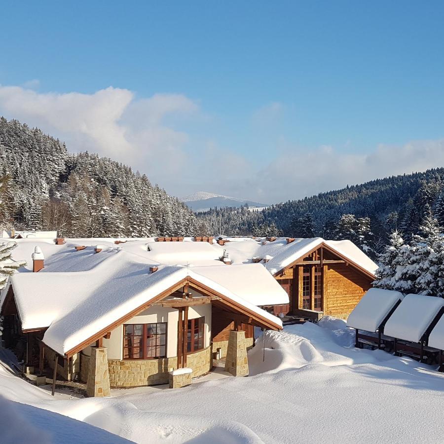Rezydencja Lesny Dwor Piwniczna-Zdroj Exteriör bild